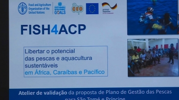 São Tomé e Príncipe – A provado o Plano Estratégico de Pesca e Aquacultura