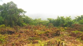  Guiné-Bissau – Banco Mundial lança primeiro Relatório sobre o Clima e o Desenvolvimento do país