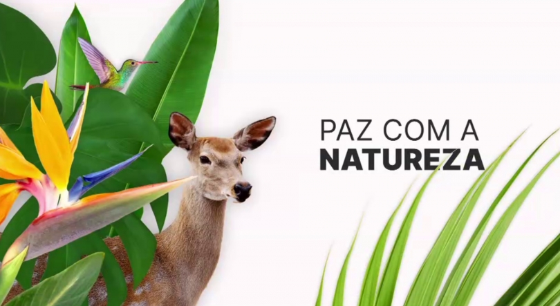 Paz Com a Natureza