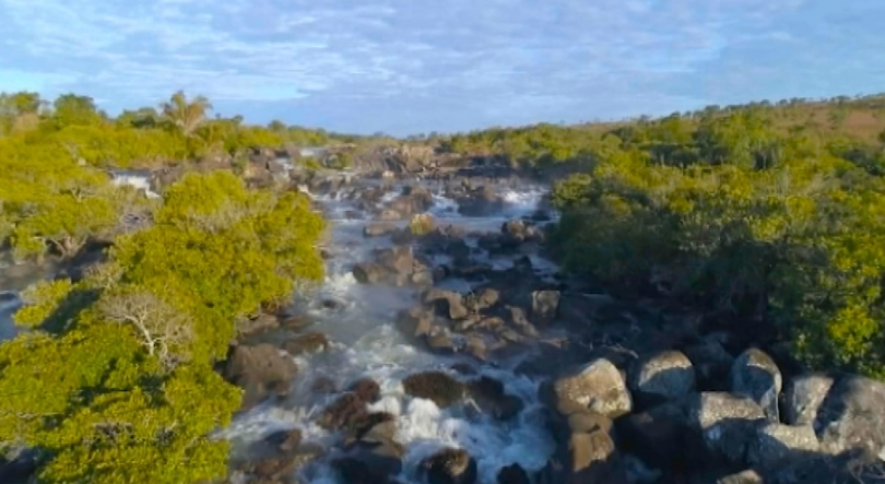 Angola organiza em 2025 Conferência sobre Biodiversidade e Áreas de Conservação