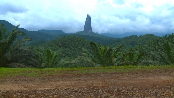 São Tomé e Príncipe – Assinado protocolo que visa promover a defesa do meio ambiente e dos direitos humanos