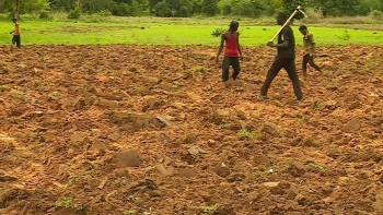 Imagem de GUINÉ-BISSAU –  Banco Mundial perspetiva apoios como investimento estratégico a longo prazo