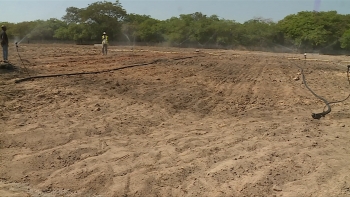 Imagem de Guiné-Bissau – FAO apoia com terreno as mulheres agricultoras de Bula, no Norte da Guiné-Bissau