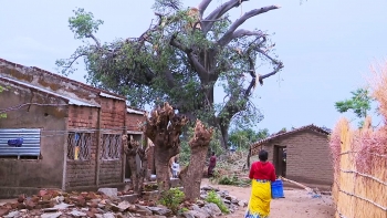 Moçambique – Pelo menos três pessoas morreram após vendaval em Metangula, no Niassa