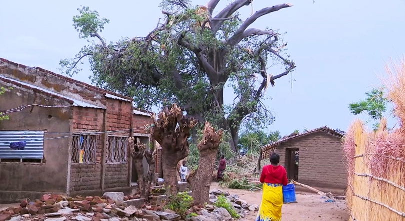 Moçambique - Pelo menos três pessoas morreram após vendaval em Metangula, no Niassa