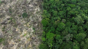 Imagem de Guiné-Bissau acolhe Conferência Internacional dos Defensores da Floresta