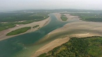 Imagem de Guiné-Bissau – Instituto da Biodiversidade alerta para a importância da proteção das zonas húmidas