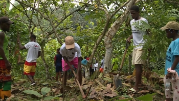 Imagem de São Tomé e Príncipe – Centro Olympafrica assinala Dia do Desporto com a plantação de árvores