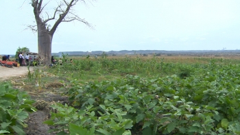 Imagem de Angola – Governo do Icolo e Bengo dá ultimato a proprietários para regularizarem terrenos