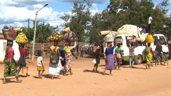 Imagem de Moçambique – OIM estima que ataques no Niassa provocaram mais de 1.500 deslocados