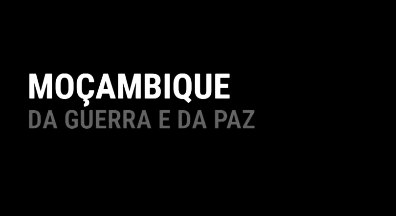Imagem de A Agressão Rodesiana