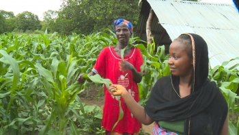 Imagem de Guiné-Bissau – Projeto 2 marca mais uma etapa da parceria entre o Governo e o BAD