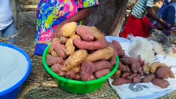 Imagem de Angola – Falta de financiamento e mau estado das estradas dificultam atividade agrícola em Benguela