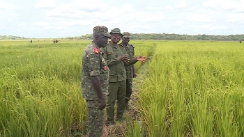 Imagem de Guiné-Bissau – CEMGFA diz que os militares abdicaram da violência a favor da produção agrícola