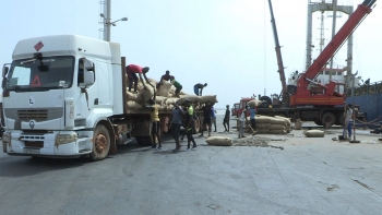 Imagem de Guiné-Bissau – Governo espera atingir meta de 220 milhões de euros com a exportação de caju em 2025