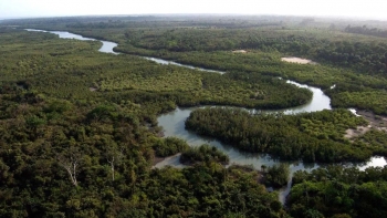 Imagem de Guiné-Bissau obteve cerca de 3,48 ME com venda de créditos de carbono