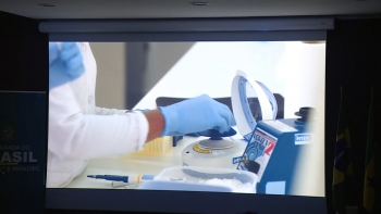Imagem de São Tomé e Príncipe – Universidade da Califórnia exibe documentário sobre o mosquito transmissor da malária