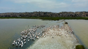 Imagem de Angola – Academia de Sustentabilidade e Ambiente estuda formas de melhorar o meio ambiente 