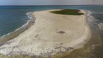 Imagem de Guiné-Bissau – Arquipélago dos Bijagós aguarda classificação de Património Mundial Natural da UNESCO