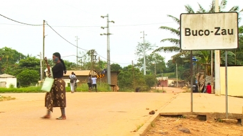 Imagem de Angola – Empresários portugueses interessados em explorar o setor madeireiro de Buco-Zau