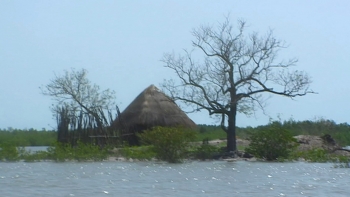Imagem de Guiné-Bissau atinge objetivo 13 do Desenvolvimento Sustentável da ONU