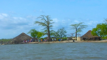 Imagem de Guiné-Bissau – “É necessário introduzir a educação ambiental no currículo escolar”