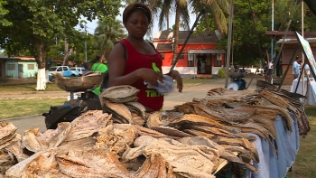 Imagem de Feira de Produtos Pesqueiros anima o Parque Popular na cidade de São Tomé