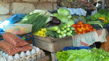 Imagem de Guiné-Bissau – Governo prepara instrumentos jurídicos para regulamentar o uso de pesticidas