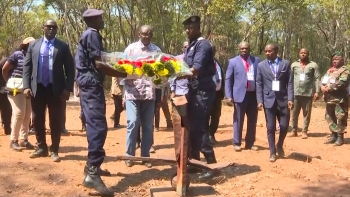 Imagem de Governo de Harare agradece povo angolano pelo sacrifício durante a luta de libertação do Zimbábue