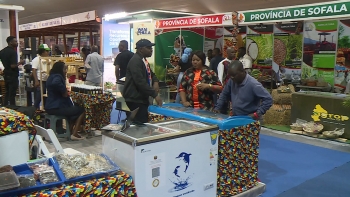 Imagem de Moçambique – Empresários acreditam na recuperação económica após as manifestações