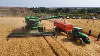Imagem de Angola – Agrónomo defende uma “aposta séria” no desenvolvimento agrário