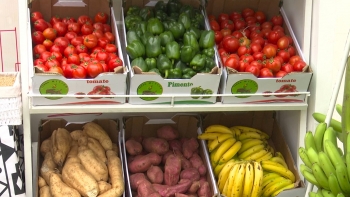 Imagem de Angola – Governo desafia empresários a apostar na produção para garantir segurança alimentar