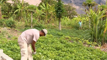 Imagem de Cabo Verde – Governo garante mais 7 milhões de euros para financiar projetos agrícolas sustentáveis