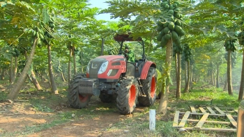 Imagem de Angola – Governo reconhece desafios no domínio da produção de alimentos