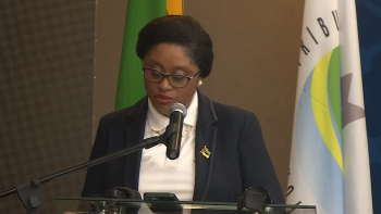 Imagem de Moçambique – Ministra das Finanças defende reformas no combate à evasão e elisão fiscais