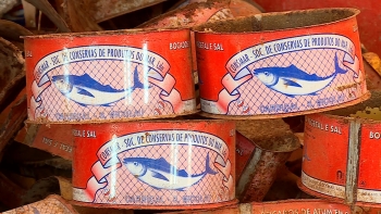 Imagem de Cabo Verde – Trabalhadores da antiga fábrica de conservas do Carriçal dizem-se abandonados