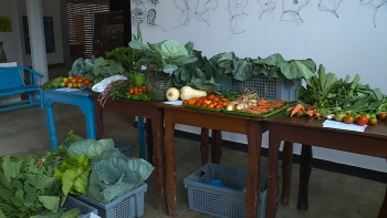 Imagem de São Tomé e Príncipe – Chegou ao fim o projeto de promoção de boas práticas de alimentação e nutrição