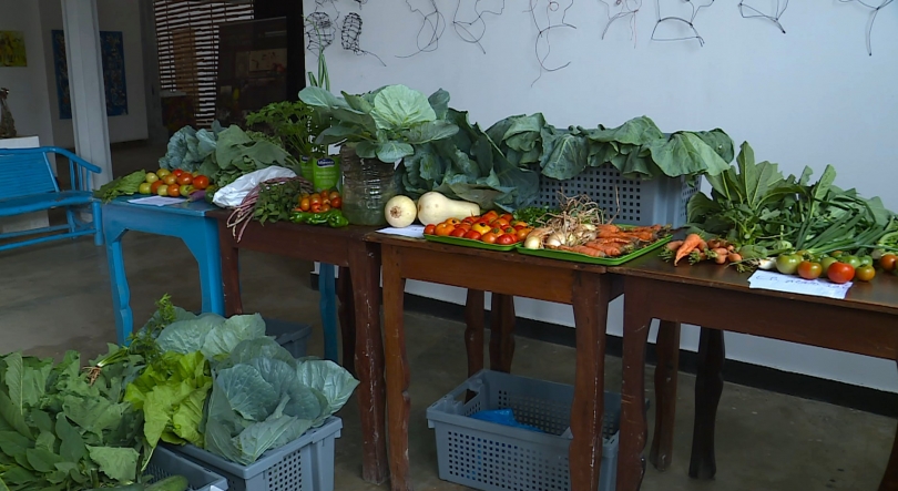 Imagem de São Tomé e Príncipe - Chegou ao fim o projeto de promoção de boas práticas de alimentação e nutrição