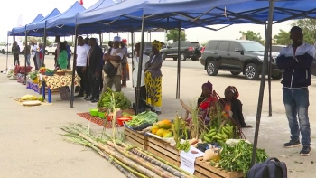 Imagem de Angola – Cooperativas agrícolas recebem equipamentos para fomento da produção