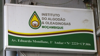Imagem de Moçambique – IOM diz que concurso para plataforma de digitalização é legal