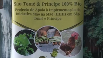 Imagem de Validada a Estratégia “São Tomé e Príncipe 100% Bio”