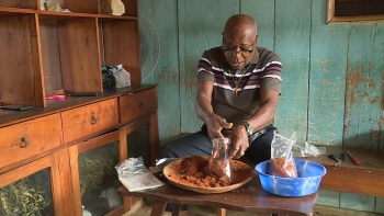 Imagem de São Tomé e Príncipe trabalha para a inclusão da medicina tradicional no SNS