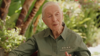 Imagem de Morreu Jane Goodall