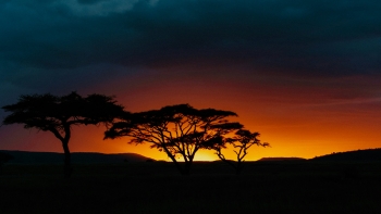 Imagem de África 7 Dias